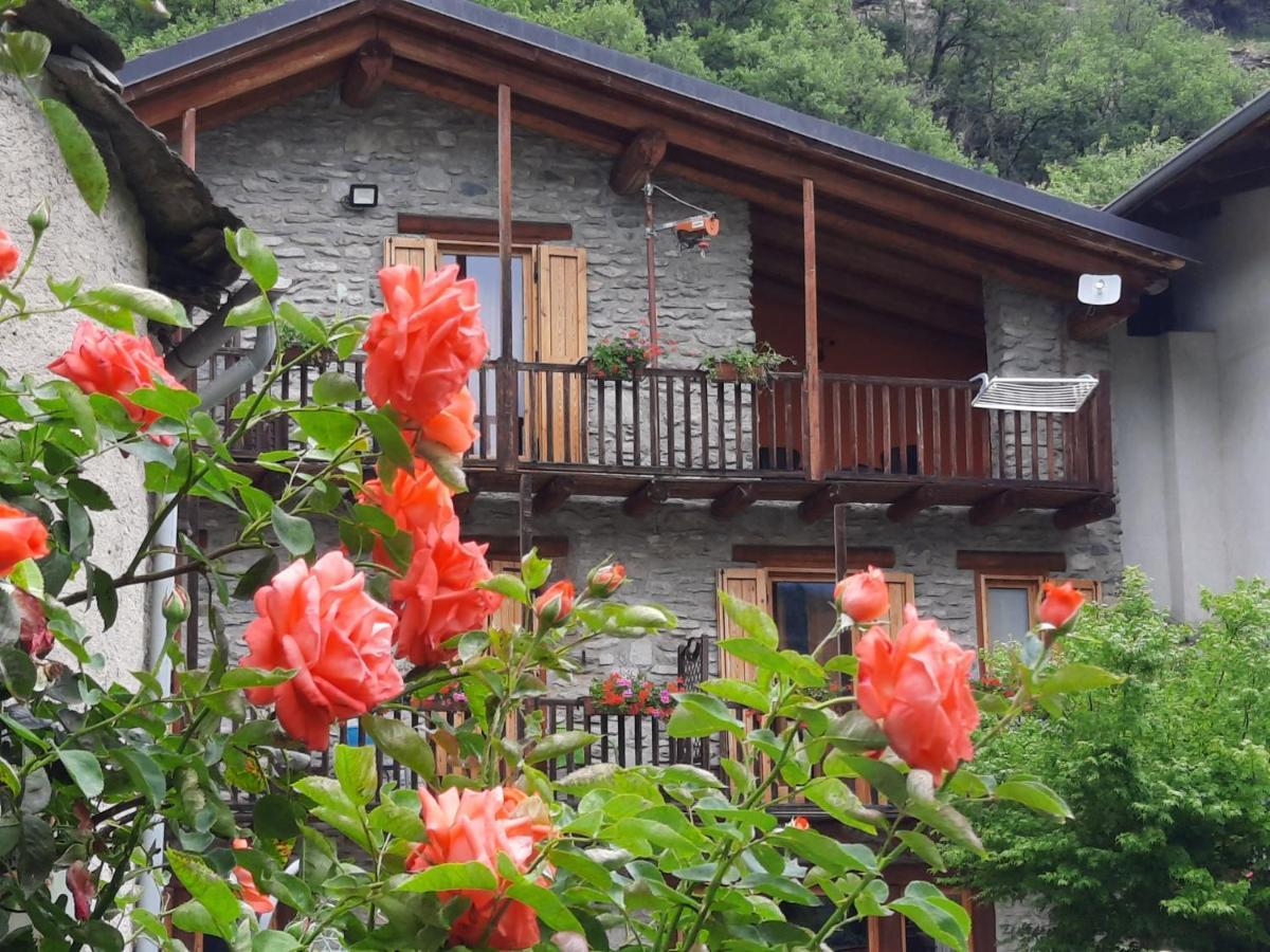 Agriturismo Al Pra Di Muriet Susa Eksteriør billede