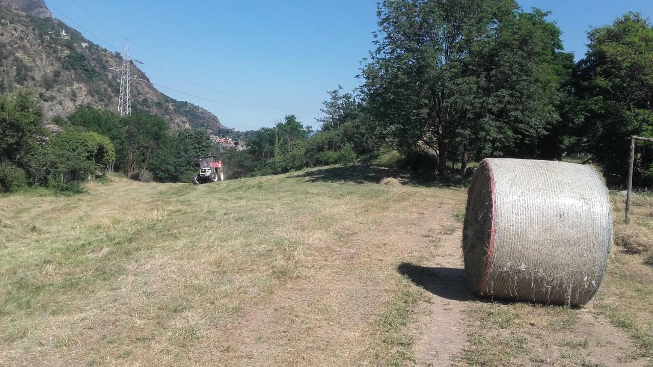 Agriturismo Al Pra Di Muriet Susa Eksteriør billede