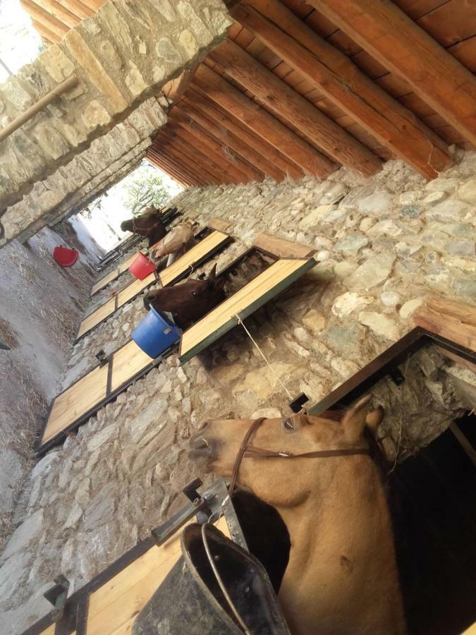 Agriturismo Al Pra Di Muriet Susa Eksteriør billede